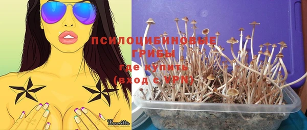МДПВ Абаза