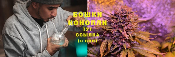каннабис Алзамай