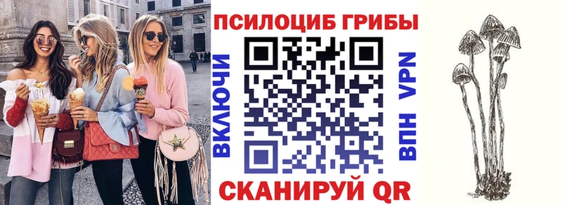 нарко площадка Telegram  Иланский  Псилоцибиновые грибы Magic Shrooms 